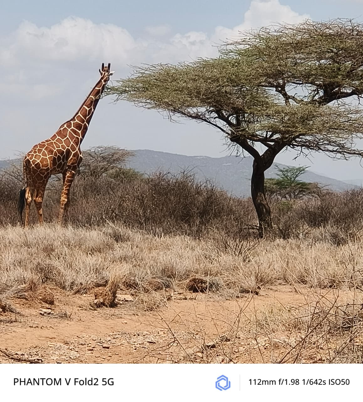 4-Day Lake Nakuru & Maasai Mara Safari