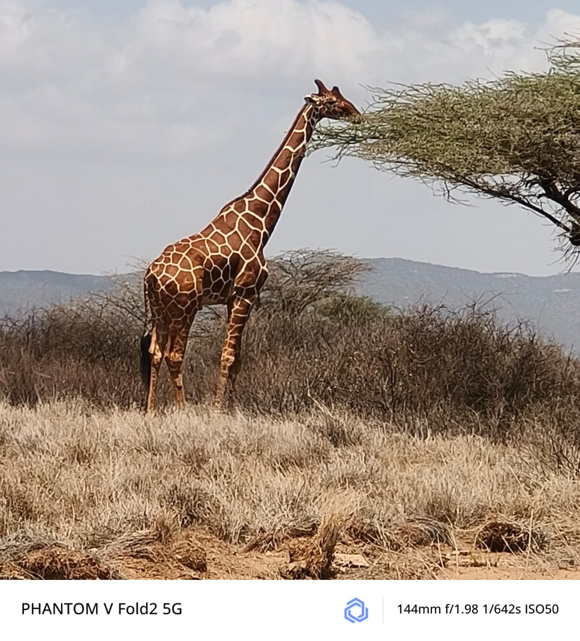 3 DAY MAJESTIC AMBOSELI NATIONAL PARK