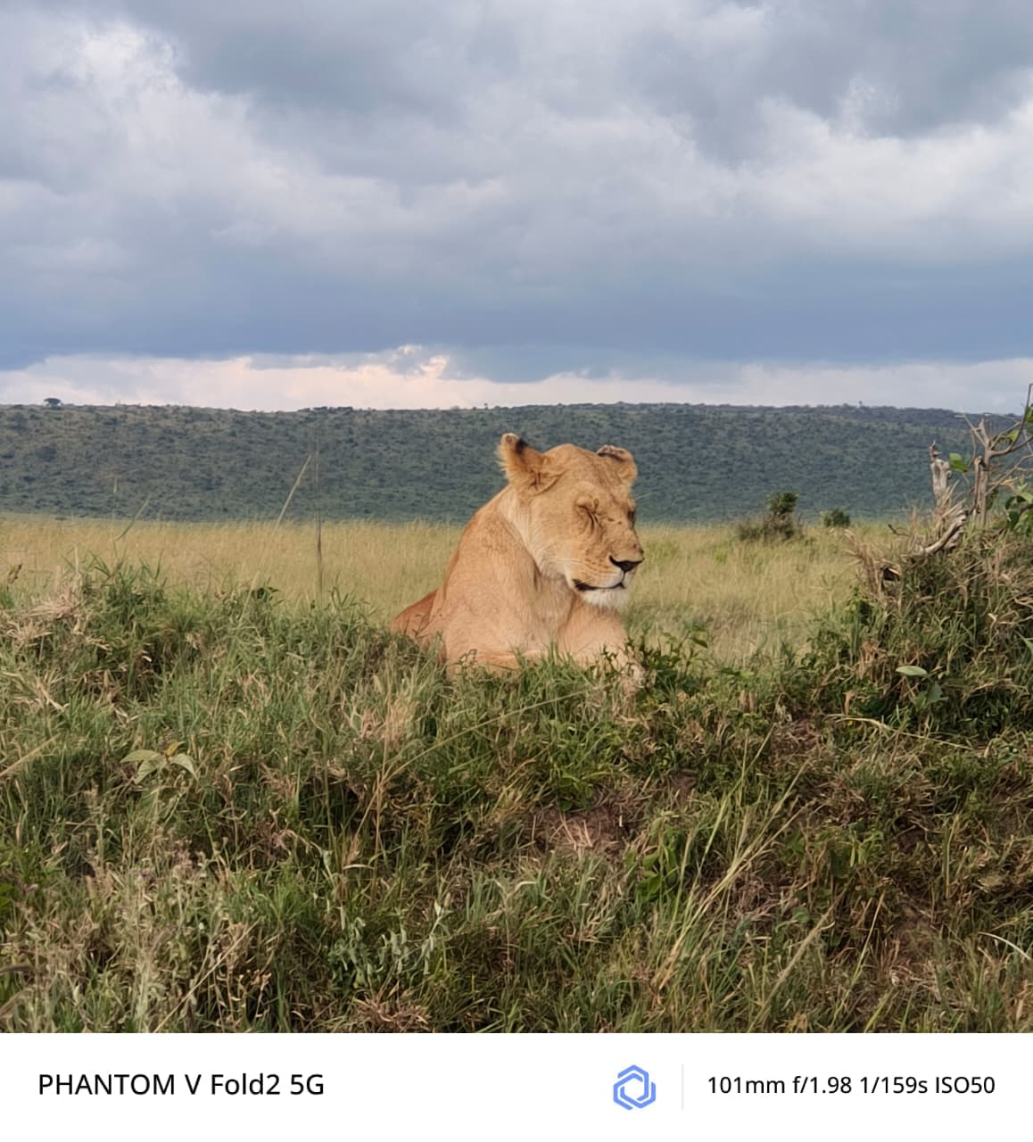 6-Day Luxury Safari Expedition