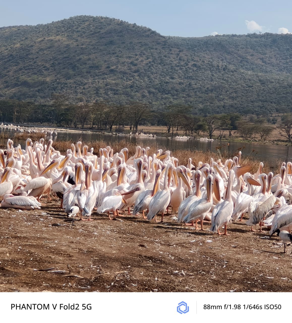 5-Day Tarangire, Serengeti & Ngorongoro Crater Safari